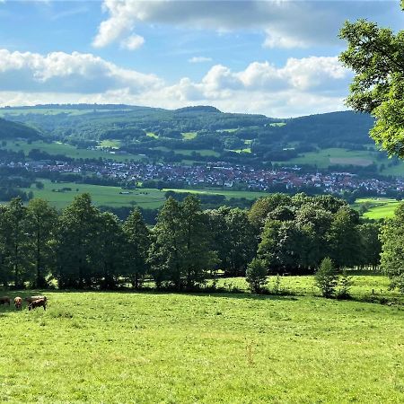 Ferienwohnung Natur-Pur Ehrenberg  Exteriör bild