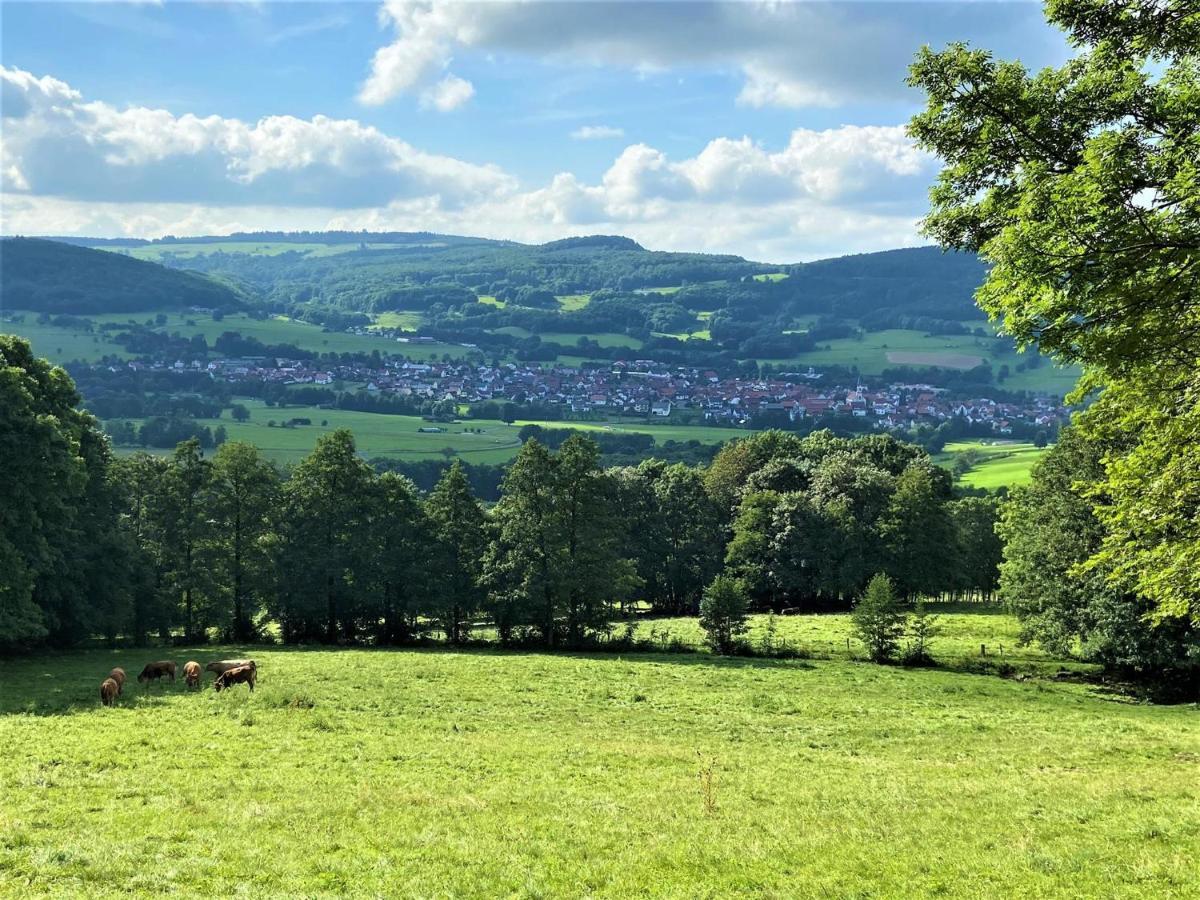 Ferienwohnung Natur-Pur Ehrenberg  Exteriör bild